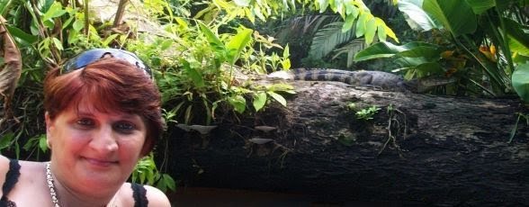 Costa Rica periplul culinar